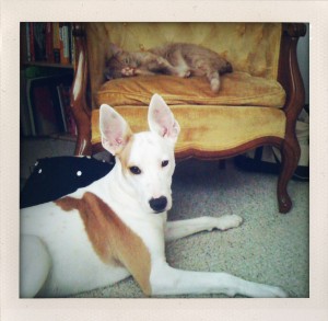 photo4 photo4