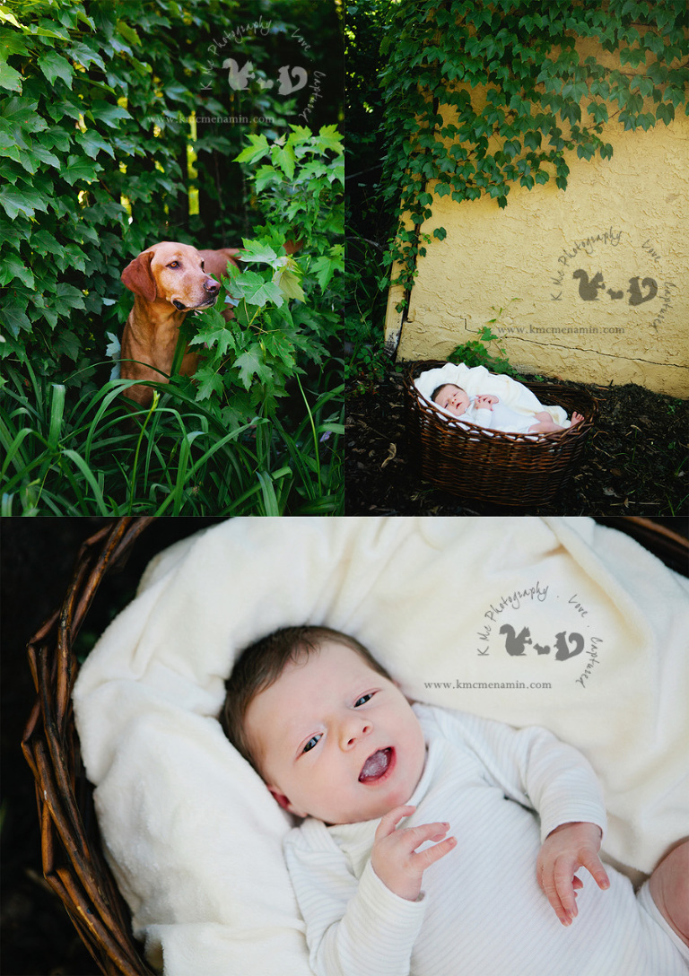 Paoli_Newborn_Photographer_1