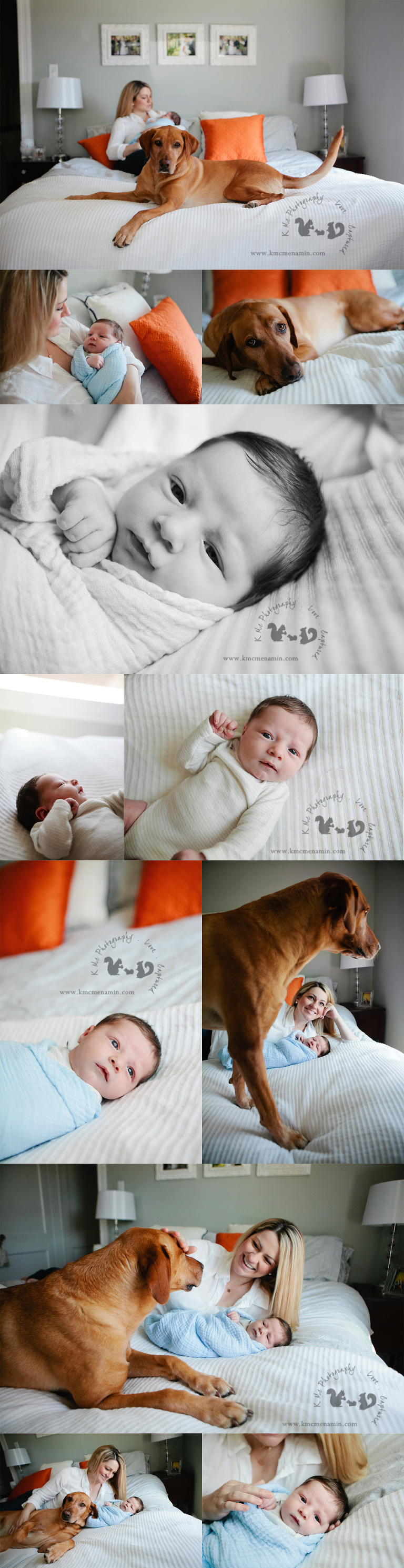 Paoli_Newborn_Photographer_2