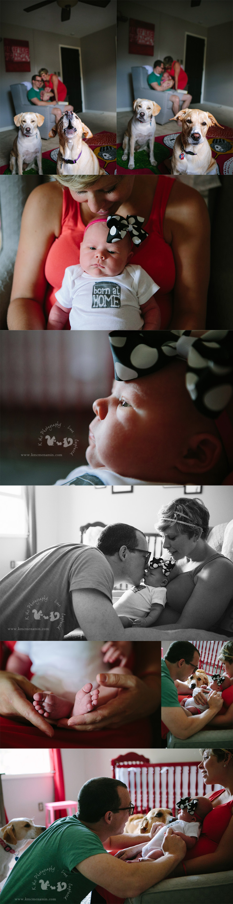 Valley_Forge_Newborn_Photographer_5