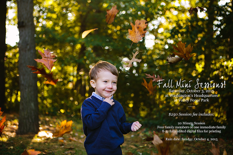 Fall2015Minis