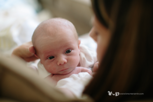 philadelphia newborn photographer fusion film