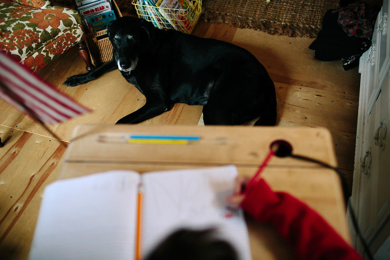 dog and boy studying