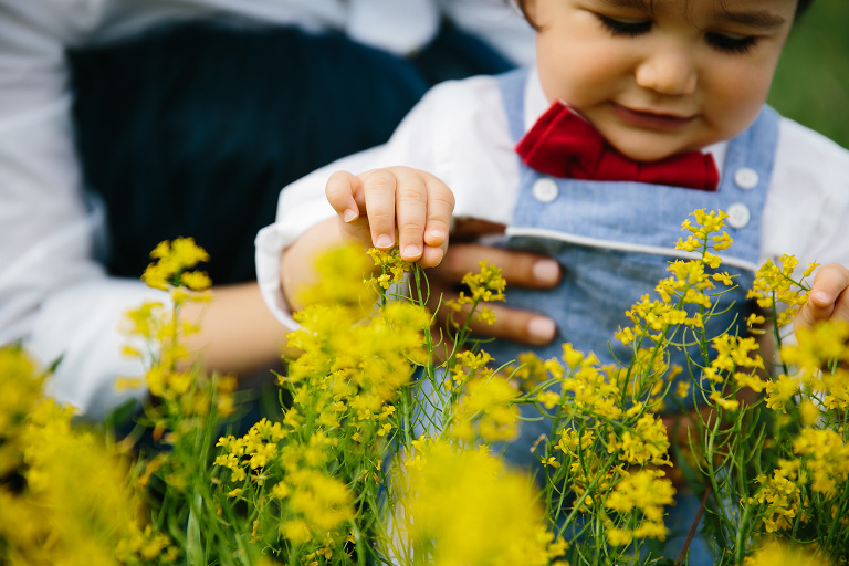 Wildflowers Baby Hands family photographer