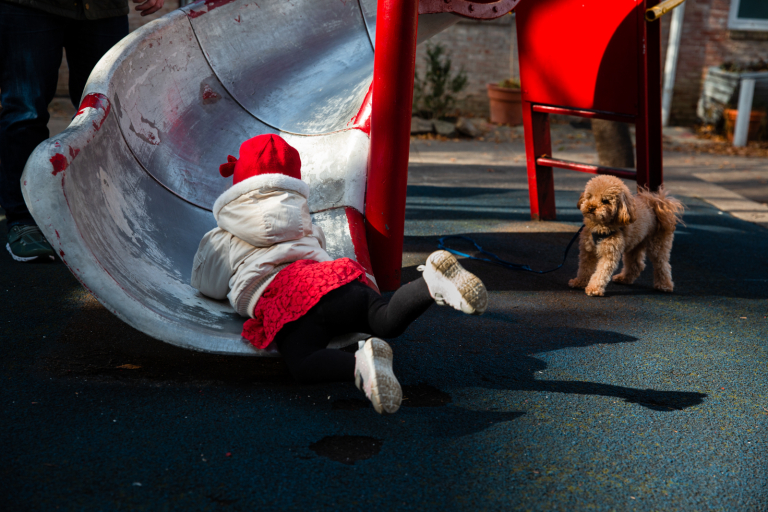Little girl going down the slide backwards in Coxe Park in Philadelphia with poodle looking on in background