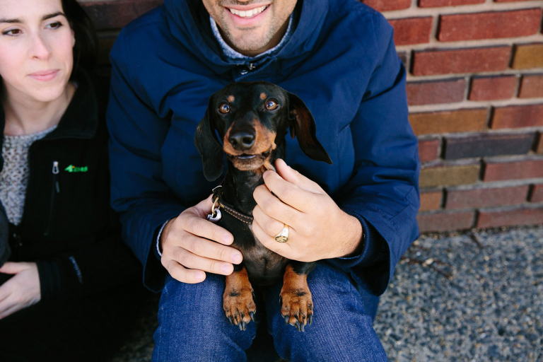 Image of dachshund sitting on man's legs and looking at the camera