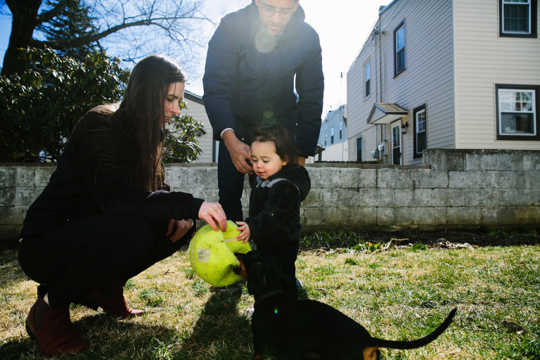 Dog taking tennis ball from a family in a game of fetch in a backyard