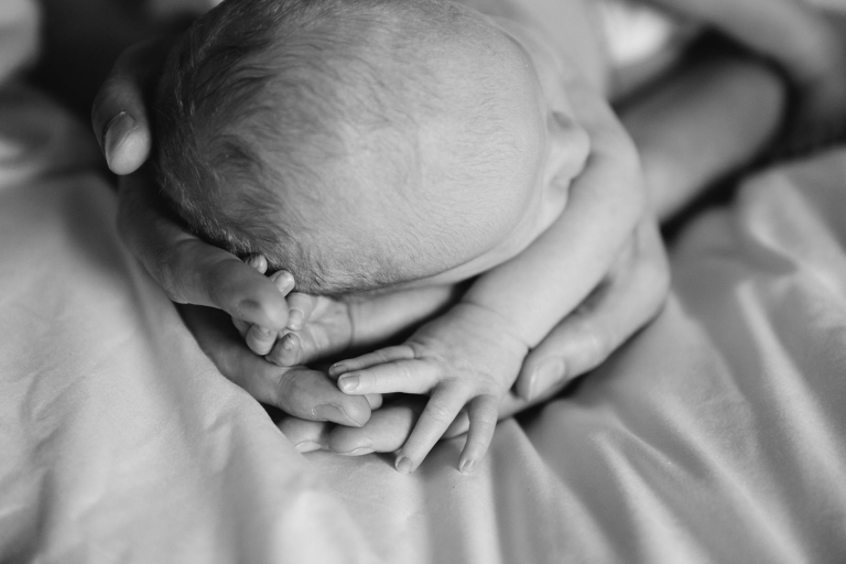 Closeup photograph of newborn in dad's hands with his hands in the foreground