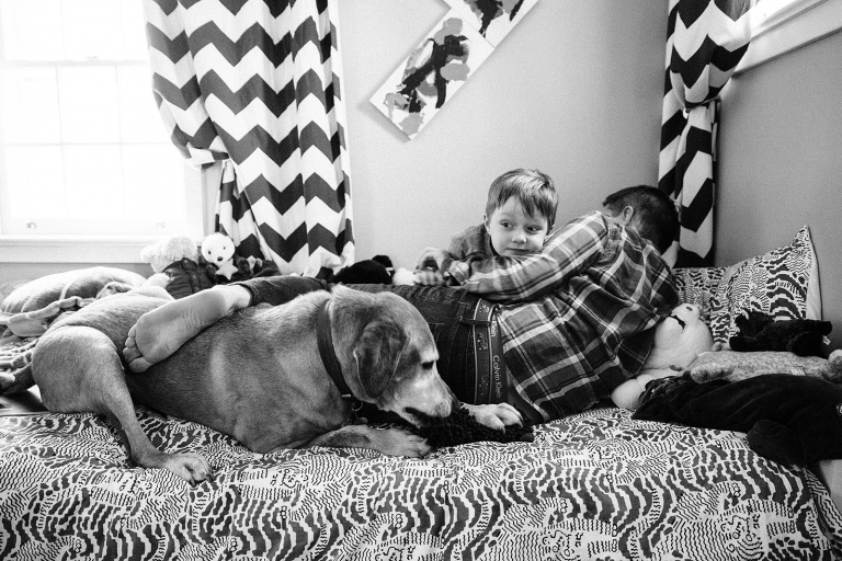 photograph of dad, son and dog on bed roughhousing 