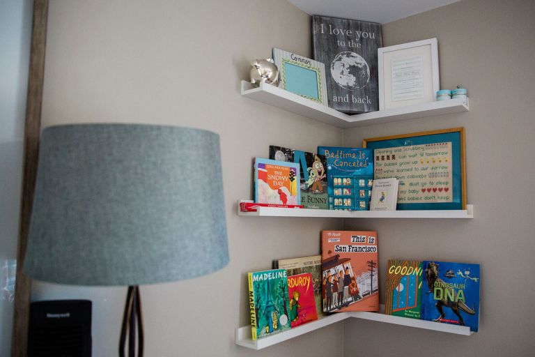 Paoli Family Photographer