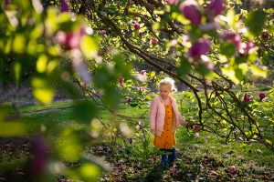 valley forge sunrise family photography session