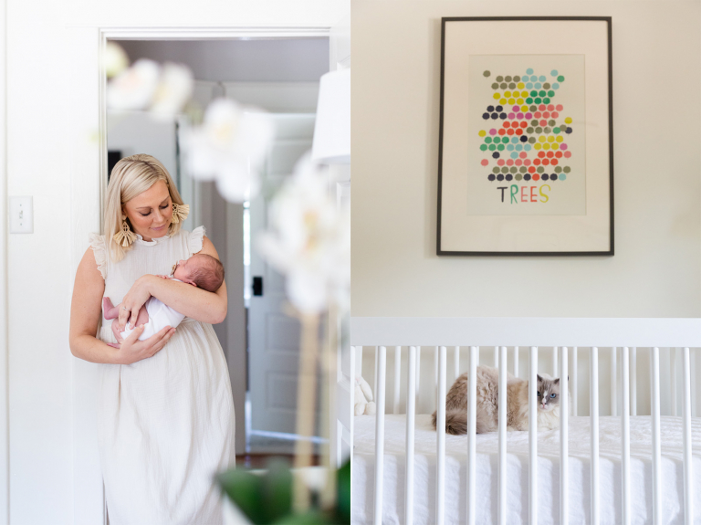 diptych of newborn baby in mom's arms and cat in baby's crib at home newborn session